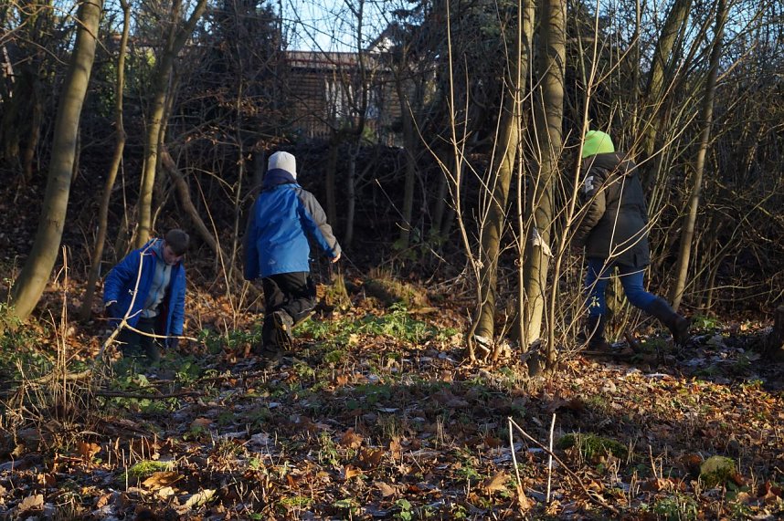 Advent im Park Hohenrode