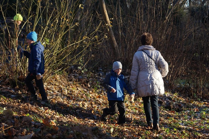 Advent im Park Hohenrode