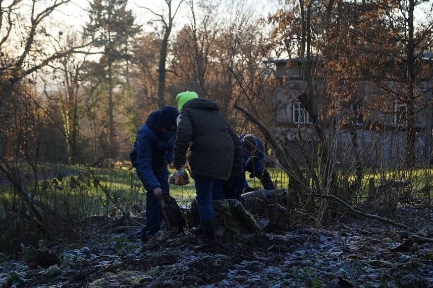 Advent im Park Hohenrode