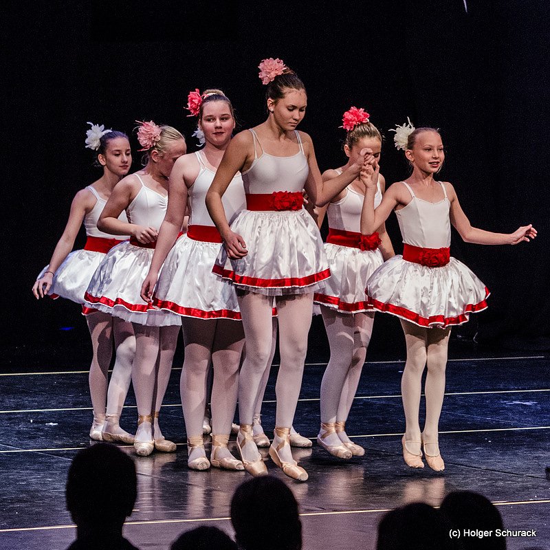 Die Sch&ouml;ne und das Biest ein Ballettm&auml;rchen.