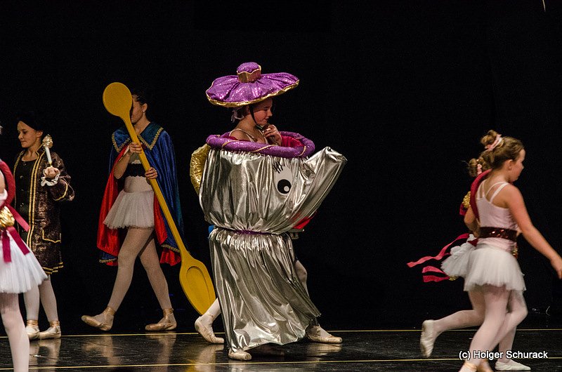 Die Sch&ouml;ne und das Biest ein Ballettm&auml;rchen.