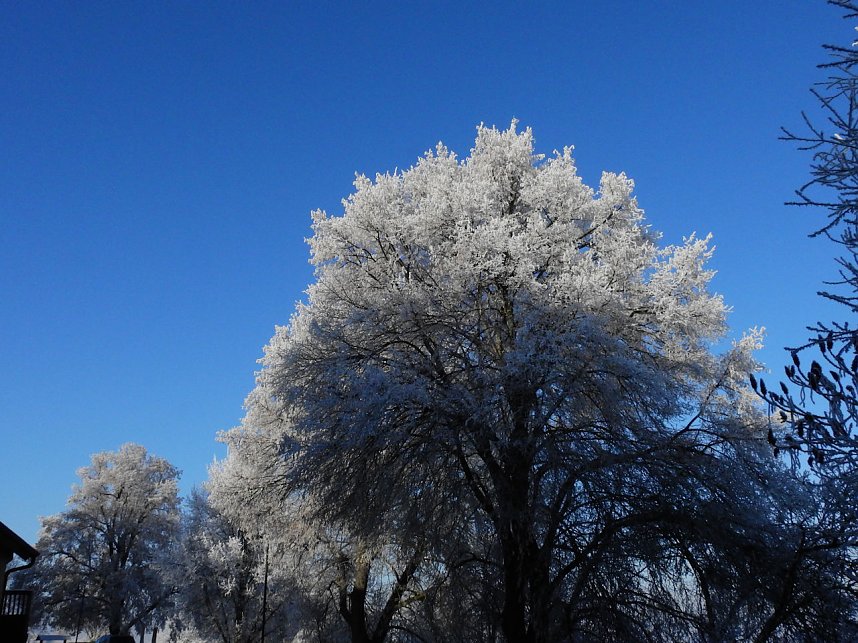 Ein Traum in Wei&szlig;