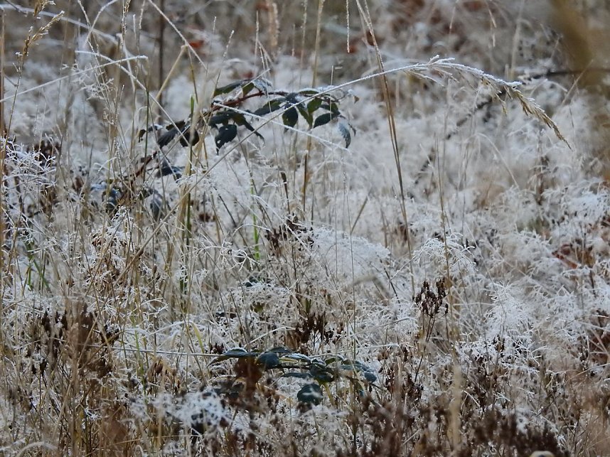 Ein Traum in Wei&szlig;