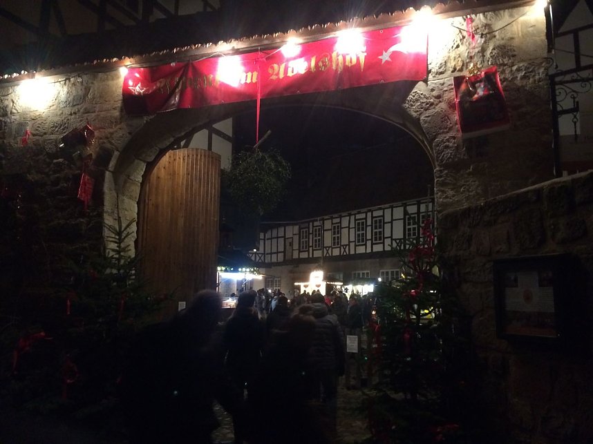 IFAraner unterwegs in Quedlinburg