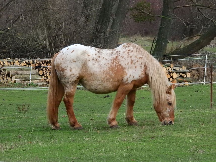 Peter Blei unterwegs im Kloster Michaelstein bei Blankenburg