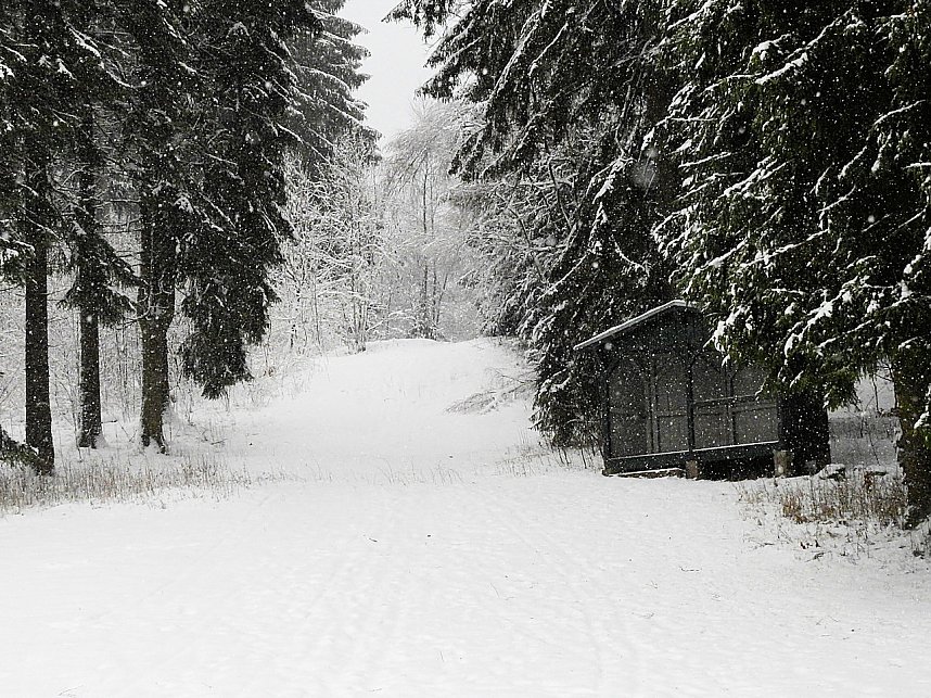 Unterwegs im winterlichen Harz
