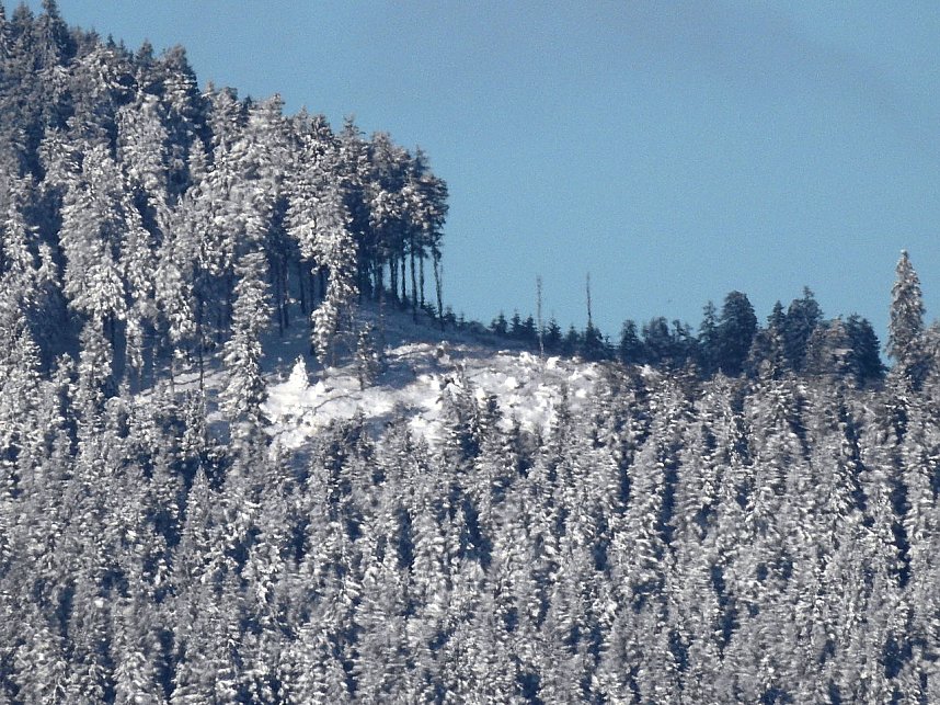 Ein Traum in wei&szlig; - der Harz im Schneekleid