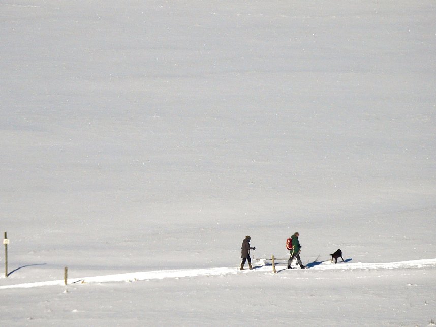 Ein Traum in wei&szlig; - der Harz im Schneekleid