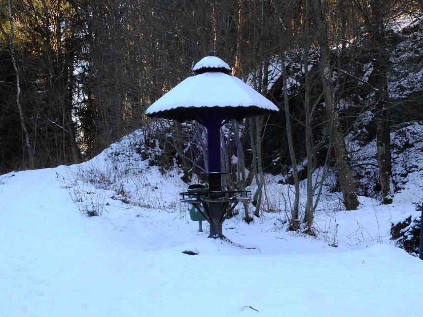 K&ouml;nigsh&uuml;tter Wasserfall