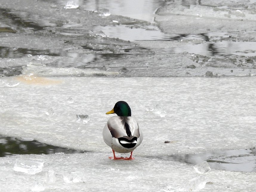 Peter Blei unterwegs am Wasser