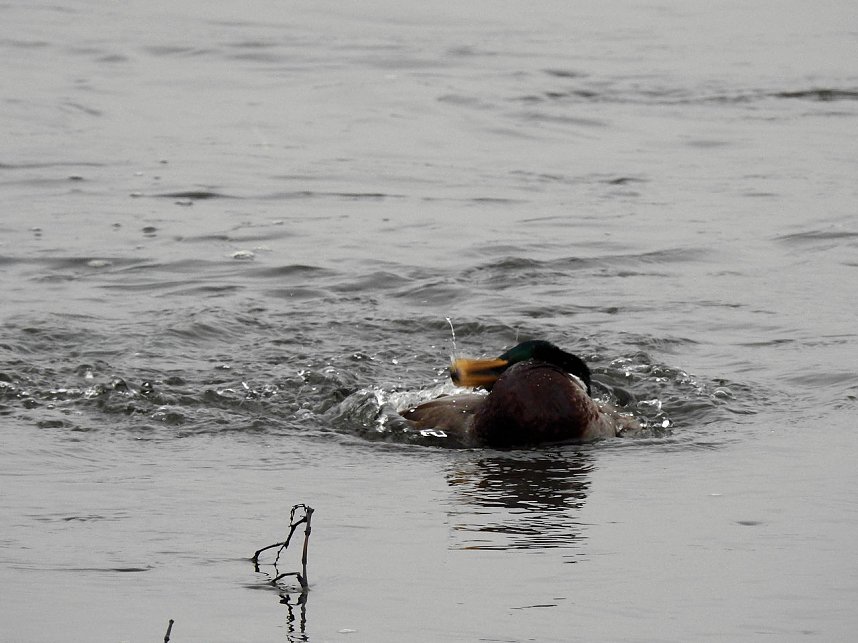 Peter Blei unterwegs am Wasser