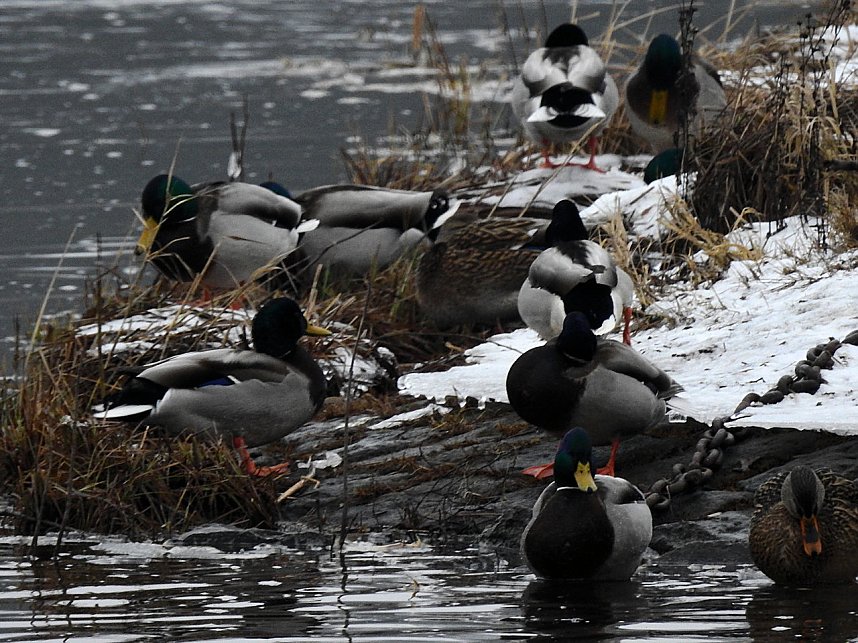 Peter Blei unterwegs am Wasser