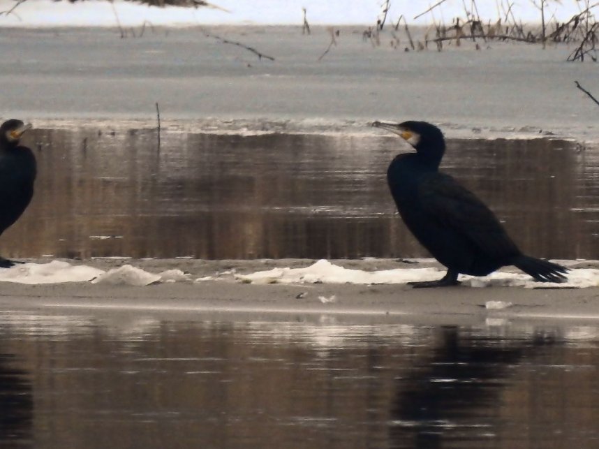 Peter Blei unterwegs am Wasser