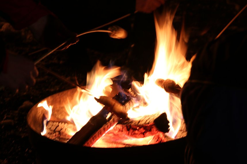 F&uuml;nftes Knutfest in Bielen