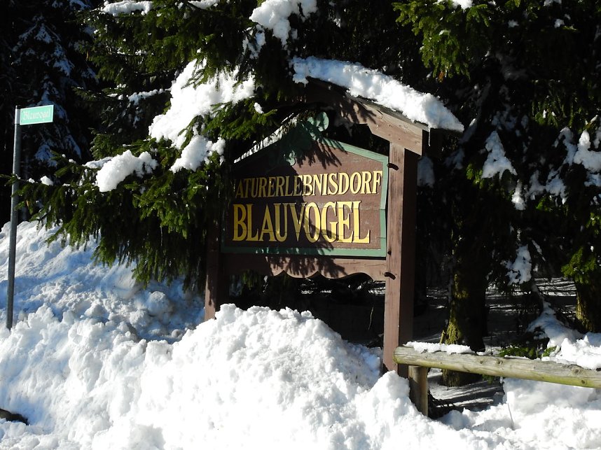 Spaziergang in Rotacker