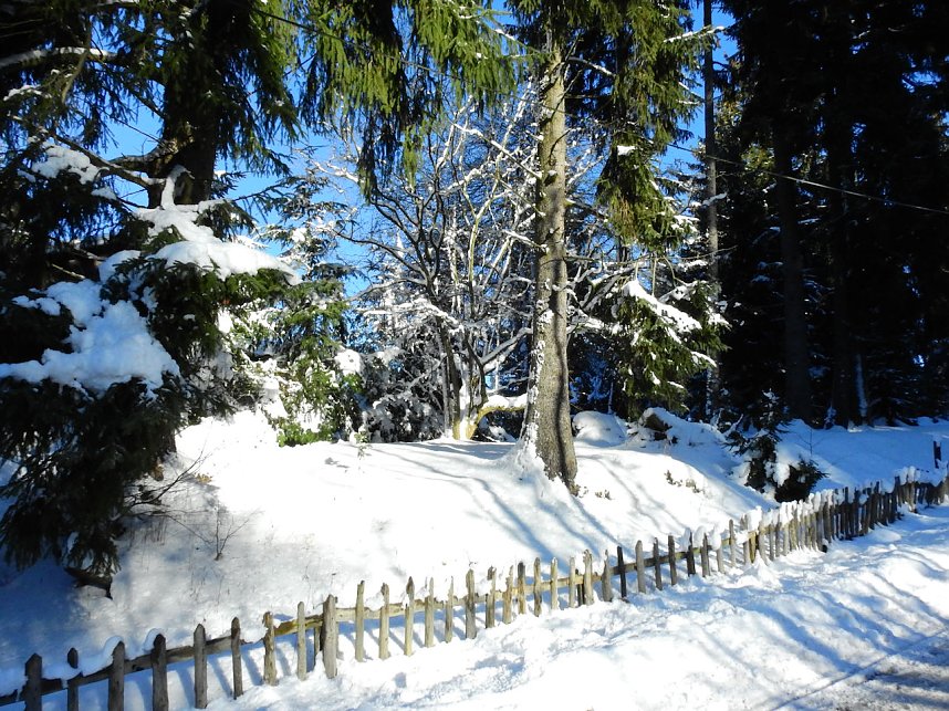 Spaziergang in Rotacker