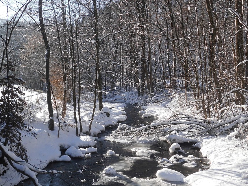 Fahrt in den S&uuml;dharz: Der kleine Fluss Bere beim Bahnhof Eisfelder Talm&uuml;hle