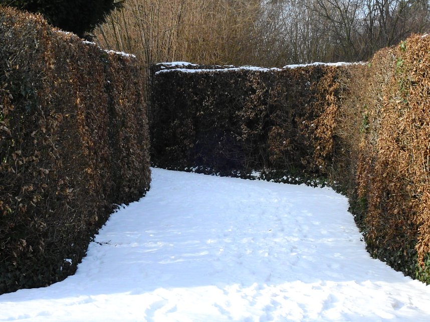 Peter Blei unterwegs - Schloss Mosigkau