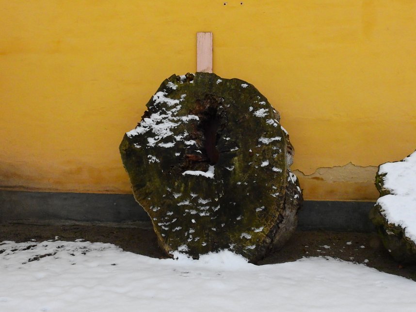 Peter Blei unterwegs - Schloss Mosigkau