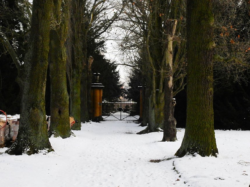 Peter Blei unterwegs - Schloss Mosigkau