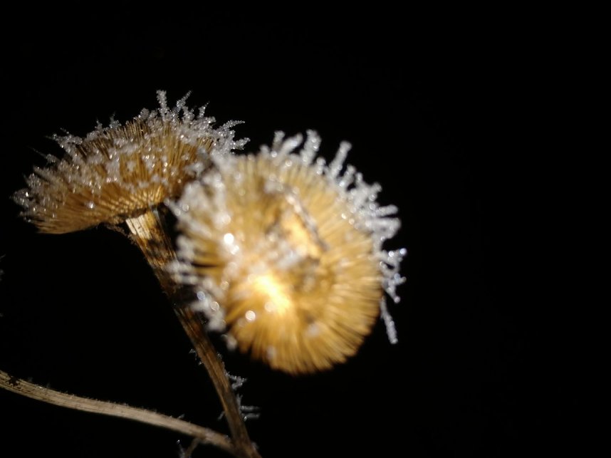 Kleines ganz gro&szlig;