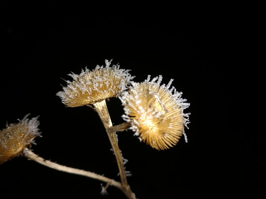Kleines ganz gro&szlig;