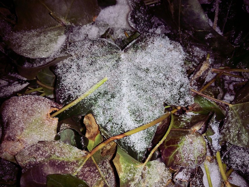 Kleines ganz gro&szlig;