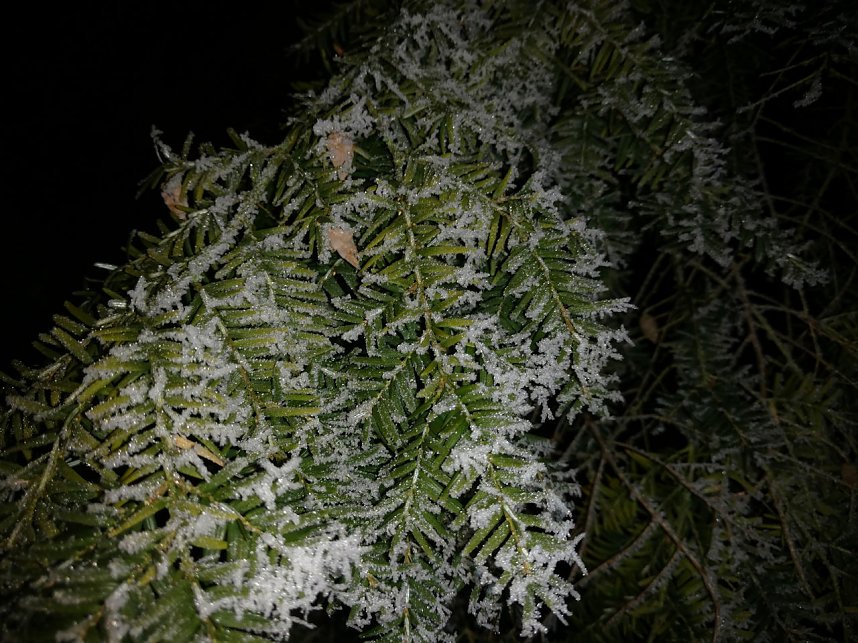 Kleines ganz gro&szlig;