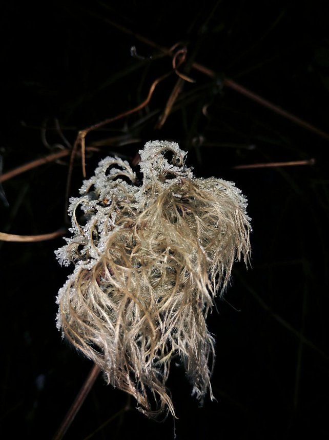 Kleines ganz gro&szlig;