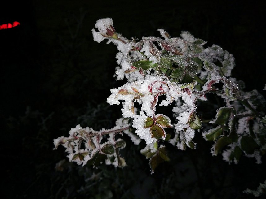 Kleines ganz gro&szlig;