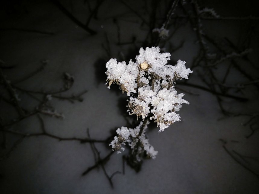 Kleines ganz gro&szlig;