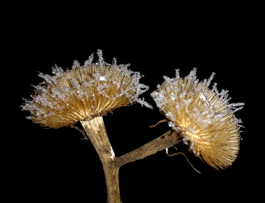 Kleines ganz gro&szlig;