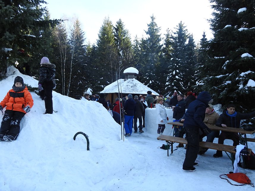 Schlittenhunderennen in Benneckenstein