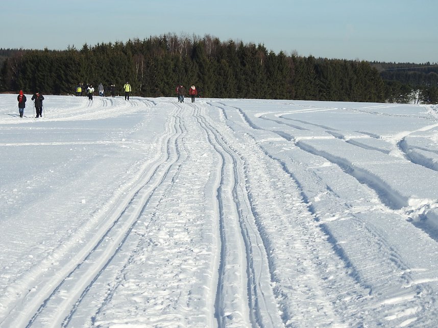 Schlittenhunderennen in Benneckenstein
