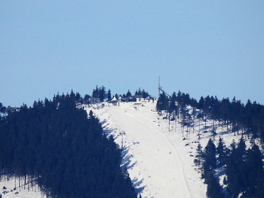 Schlittenhunderennen in Benneckenstein
