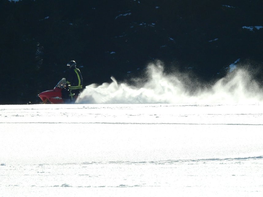 Schlittenhunderennen in Benneckenstein
