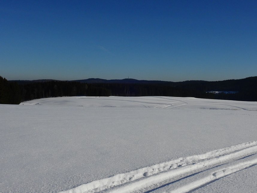 Schlittenhunderennen in Benneckenstein