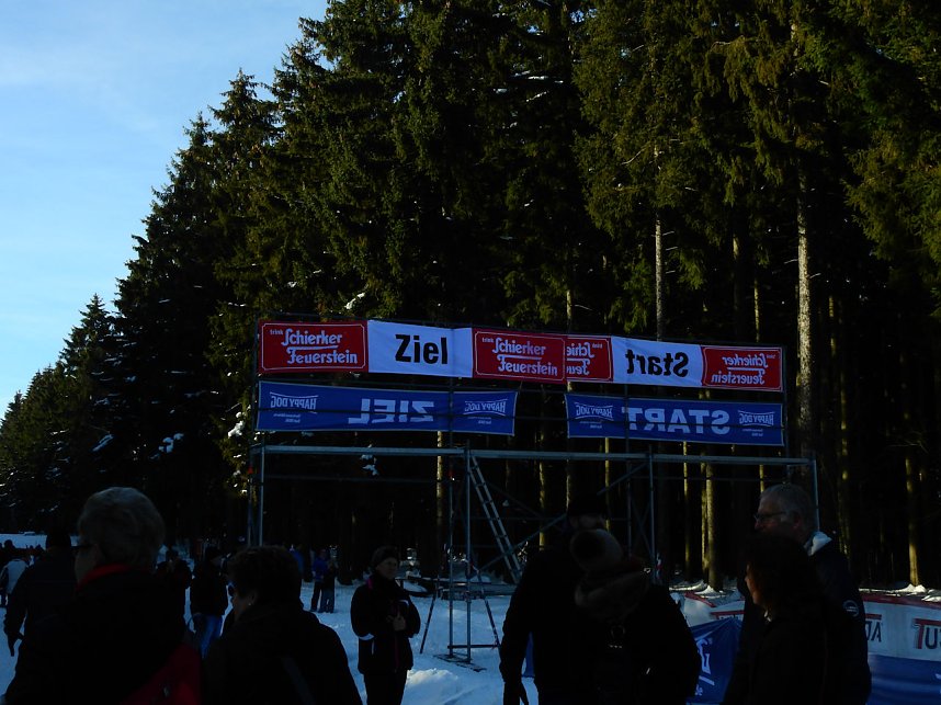 Schlittenhunderennen in Benneckenstein