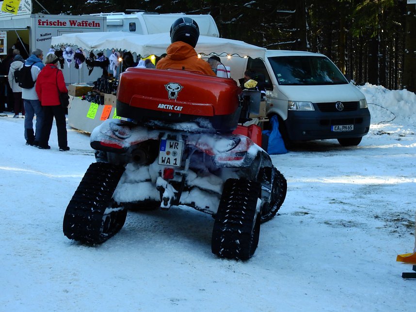 Schlittenhunderennen in Benneckenstein