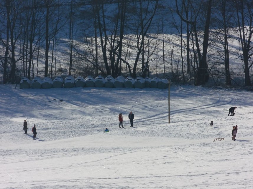 Winter auf der Ruine