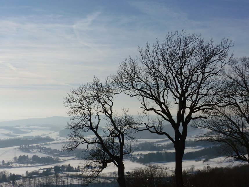 Winter auf der Ruine