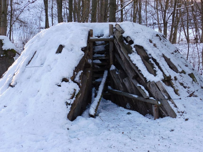 Winter auf der Ruine