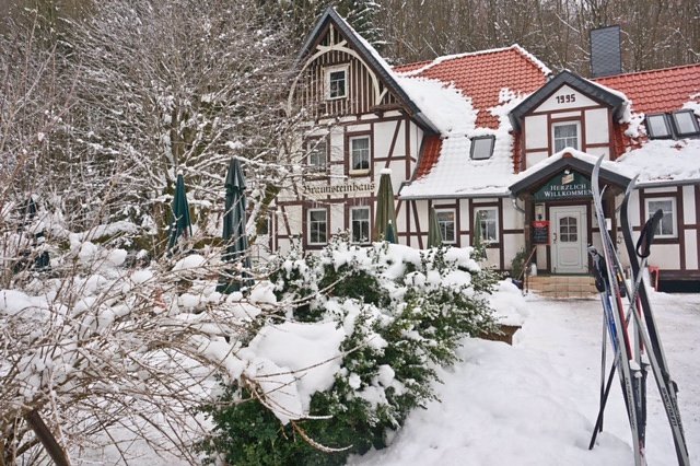 Taucher auf Winterwanderung