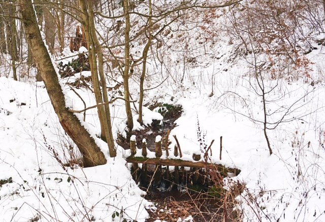Taucher auf Winterwanderung