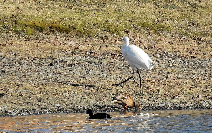 Sonnenbaden am Kiesschacht