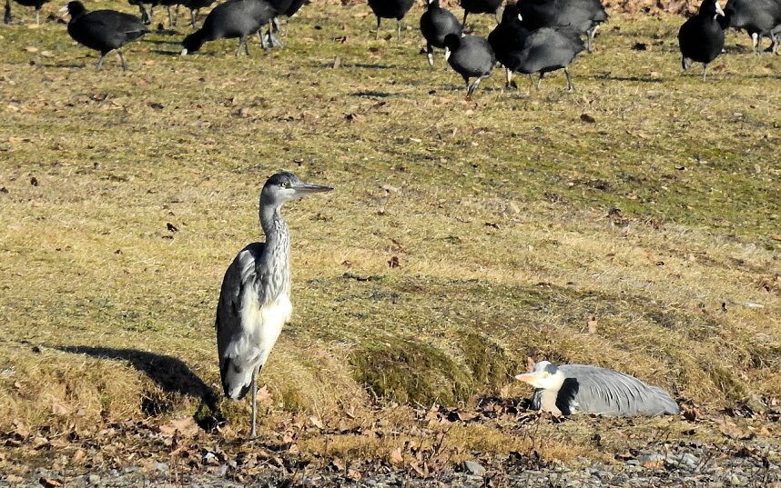 Sonnenbaden am Kiesschacht