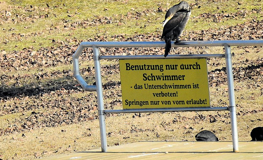 Sonnenbaden am Kiesschacht