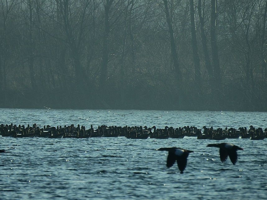 Sonnenbaden am Kiesschacht
