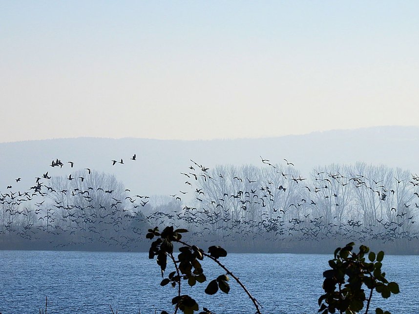 Sonnenbaden am Kiesschacht
