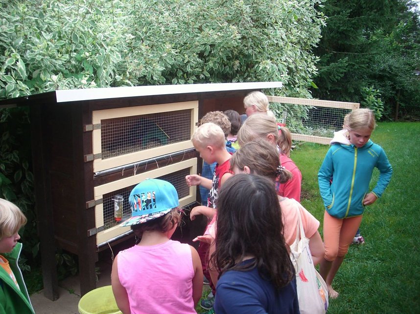 Spannende Ferienfreizeiten